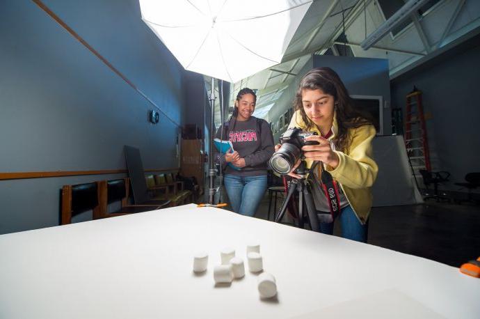 Photography students taking photos